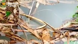 37 reactions · 108 shares | A fertilization program can greatly...