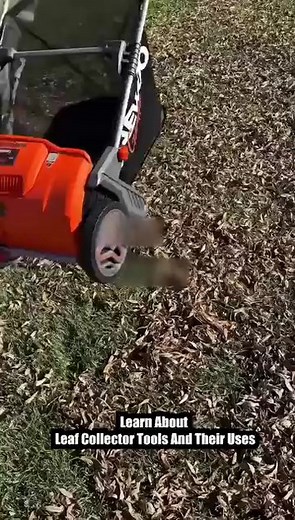 A leaf collector can make backyard cleaning easier. Read more guide on leaf collector tools and their uses. | DIY Hub