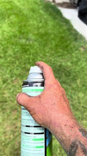 Beware of Wasp Season: Lawn Care Safety Tips