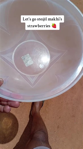 Creative Ways to Enjoy Makhi's Fresh Strawberries