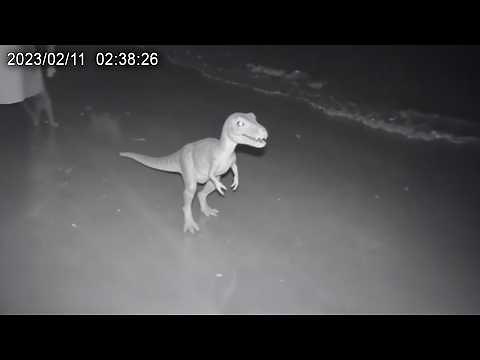 60 Extinct Animals and Creatures Caught ALIVE on Camera!