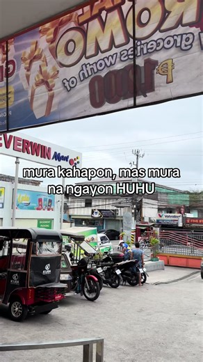 Essential Basic Makeup Products for Beginners