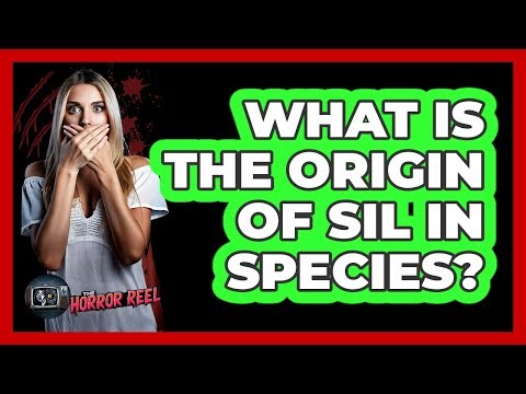 What Is the Origin of Sil in Species?