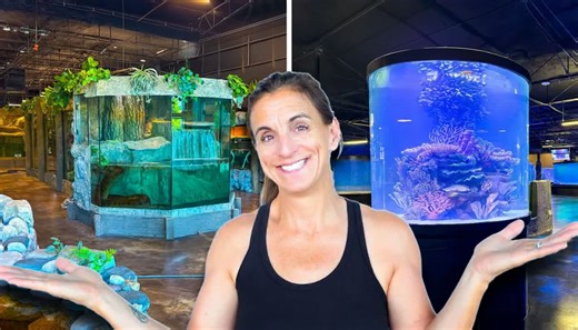 What it takes to run a private zoo and aquarium