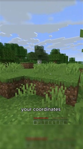 Turning Java Minecraft into bedrock