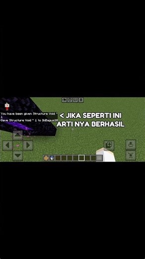 Cara Mendapatkan Structure Void Di Minecraft!