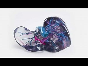 Stratasys J750 & J735 Full Color Multi-Material 3D Printing