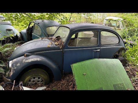 RUST IN PEACE: 150+ CLASSIC CARS LEFT TO DECAY IN THE WOODS *CAR GRAVEYARD*