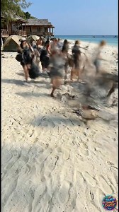 Residents and tourists work together to clean the beach #timelapse #beach #cleaning #tourism #pandawara | Bang Irham Santuy