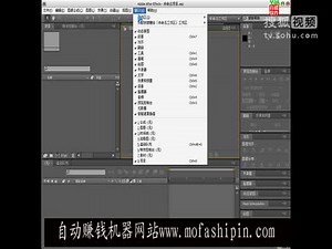 02软件界面Adobe After Effects CS4中文基础高清教程