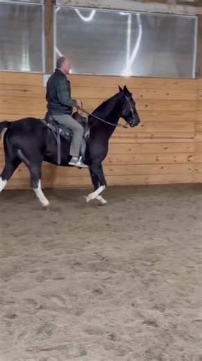 Michael Fisher on Reels