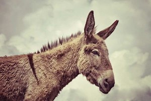 Ancient Rome's 10 Most Horrifying Tortures