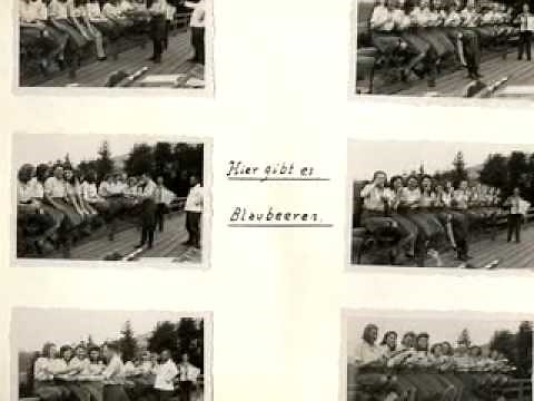 Auschwitz through the Lens of the SS