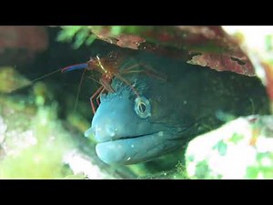 Interacciones biológicas