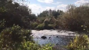 The Tel Dan Nature Reserve is the perfect place for a hike! Take a load off in the shallow natural pools alongside the trail. 🏊🏽‍♂️ Thank you Chrisly Missy - instagram.com/chrisly1812/ for this video | Visit Israel