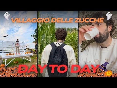 DOVE LE ZUCCHE PRENDONO VITA!