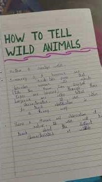 class 10th english project file || english project file class 10