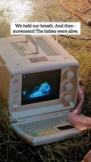 1.4M views · 74K reactions | Can you believe she was pregnant through...