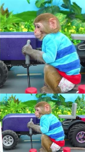 Monkey Baby Shark | Nursery Rhymes & Kids Songs |Bobby Kids Songs