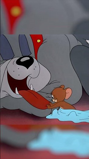 Punto de vista: Noche de película en familia | Tom y Jerry en Latino | ‪@WBKidsLatino‬