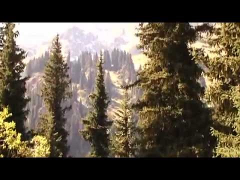 A Cultural Journey Across Eastern Europe | Arts.21