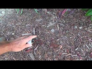 Cheap Way to Cap Off Main Drip Irrigation Pipe End