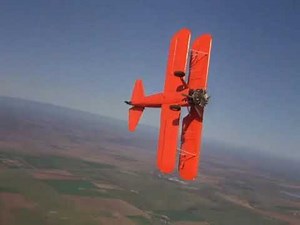 Follow That Bird - Upside Down World