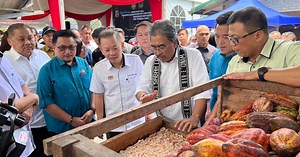 Sabah can fill gap in cocoa production to meet global demand | New Straits Times