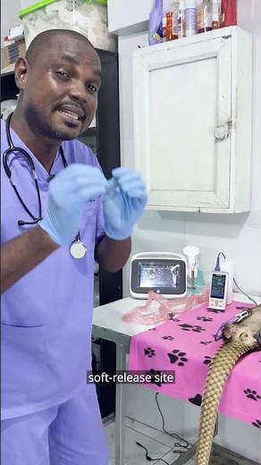 Dr Mark's Animal Diaries - Saving A Pregnant Pangolin | Wild Africa