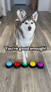 81K views · 685 reactions | My children’s book “Sapphie & Me” is now...