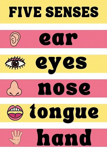 How to easily teach kids 5 sense organs | Sense organs