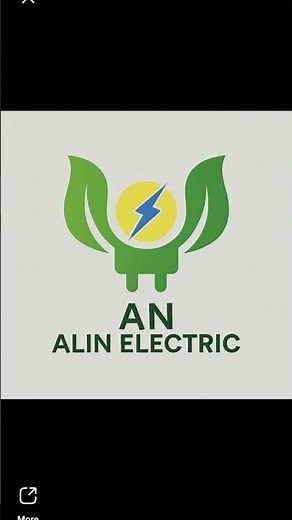 an alin electric
