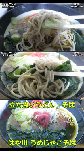 梅じゃこそば 立喰 はや川 鵜の木 【立ち食いそば・うどん】#ぶらり立ち食いそば #駅そば #立ち食いそば