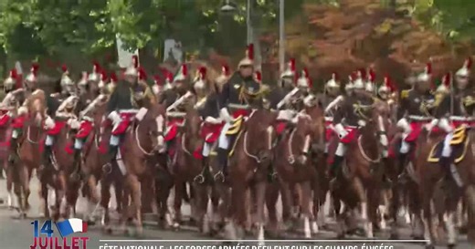 14 juillet: glissade, cheval sans cavalier... Confusion lors du défilé du régiment de cavalerie