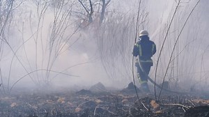 Free Firefighter Videos: 4K & HD | No Watermark | Download Now