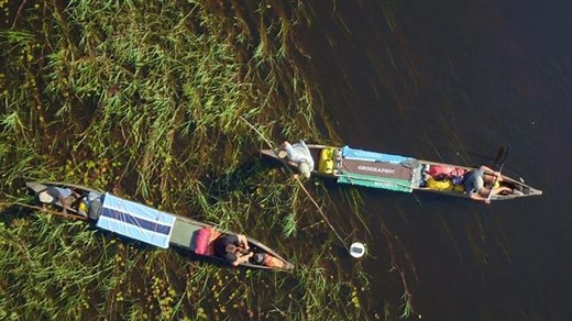 Botswana Has Revived Africa's Largest Mammal Migration