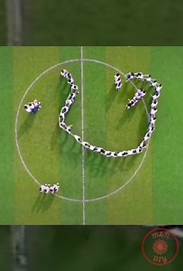 Extremely fun games | M&N DIY