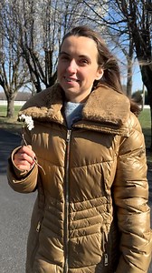 Blooming in God’s Timing #3ABN | Three Angels Broadcasting Network (3ABN)