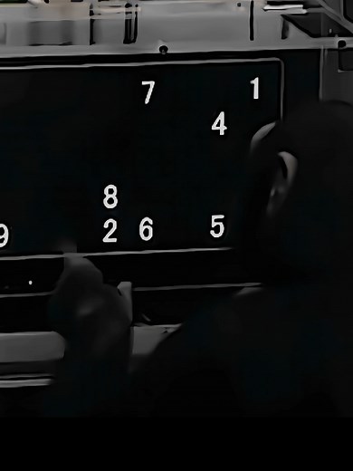 Smart Monkey Demonstrates Incredible Number Memorization Skills