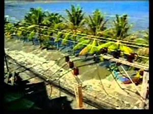 2004 tsunami