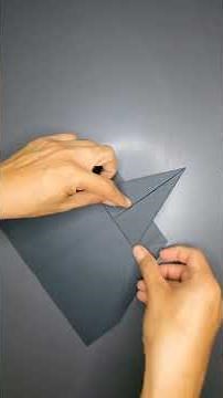 Paper plane world record distance