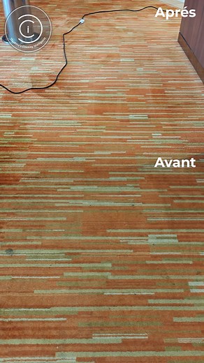 🏆 TRANSFORMATION SPECTACULAIRE ! Découvrez le NETTOYAGE MOQUETTE PROFESSIONNEL à Tunis par CCI Services ! ✅ Technique INJECTION-EXTRACTION professionnelle ✅ Élimination des taches les plus tenaces ✅ Séchage rapide et résultat impeccable ✅ Produits écologiques et désinfection complète 🎯 ENTREPRISE NETTOYAGE MOQUETTE TUNIS leader depuis 10 ans ! 📞 Service rapide 24h/7j : 216 98 557 766 🌐 Devis gratuit : https://cciservices.online/contact?utm_source=facebook&utm_medium=video&utm_campaign=video_