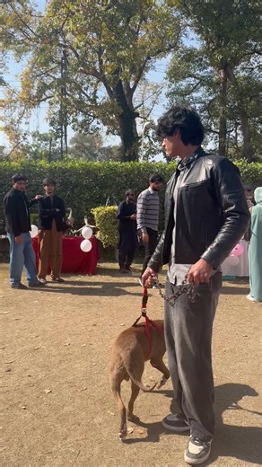 Peshawar University Pet Show Highlights