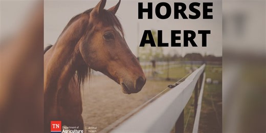 Tennessee reports EEE, West Nile Virus found in horses