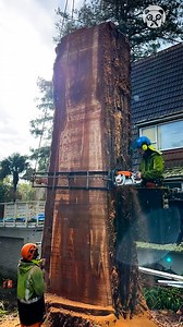 Vertical slab cutting Partner: justanothertreeclimber IG: https://www.instagram.com/justanothertreeclimber YT: https://www.youtube.com/@justanothertreeclimber-f4o | Science, Tech and Universe