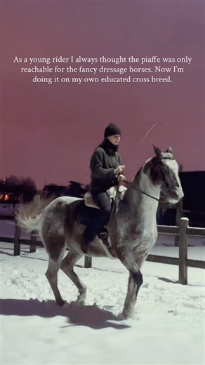 Romy de Lange ⚜️ THE CORE OF HORSES on Instagram: "Nothing is unreachable! Dressage, high school dressage is for every horse. Yakari is a crossbreed (Appaloosa x Quarter horse) that I bought as a 3 y/o. I was 16 y/o and my biggest dream was to achieve a good piaffe one day. The more knowledge I got about high school dressage (mostly classical, historical and academic) the more I thought: Why did we create this thought that it’s only for the high dressage sport? Or for the fancy warmbloods? The m