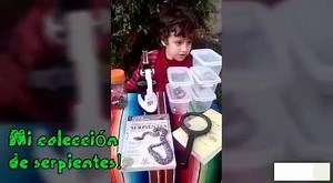 Amigos, este video nos lo comparte María Acosta (madre de Hernán) de Concordia, Entre Ríos (Argentina), el cual fue presentado ayer, el Día Mundial del Medio Ambiente en la plataforma de la Feria Internacional del Ambiente Virtual.. María nos comenta que ambos son seguidores de nuestra página y que Hernán, desde los 6 años estudia, investiga y promueve la protección de las serpientes, hoy tiene 9 años y comparte en el video su colección de 19 ejemplares de serpientes encontradas sin vida cerca d
