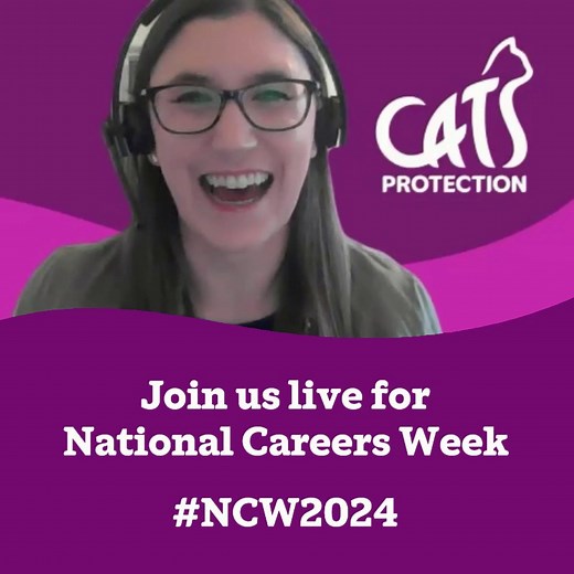 Enlighten students aged 11 on #NationalCareersWeek! Meet Cats Protection employees through virtual interviews and Q&As. Hear the inside scoop about the skills, experience and qualifications needed for their role. Find out more about our free events here: http://spr.ly/CareersWeekEvents #NCW2024 | Cats Protection