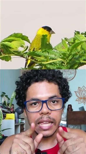 The price of beauty can be EXTINCTION!