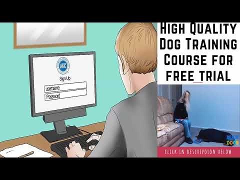 How to Find a Dog by AKC Registration Number